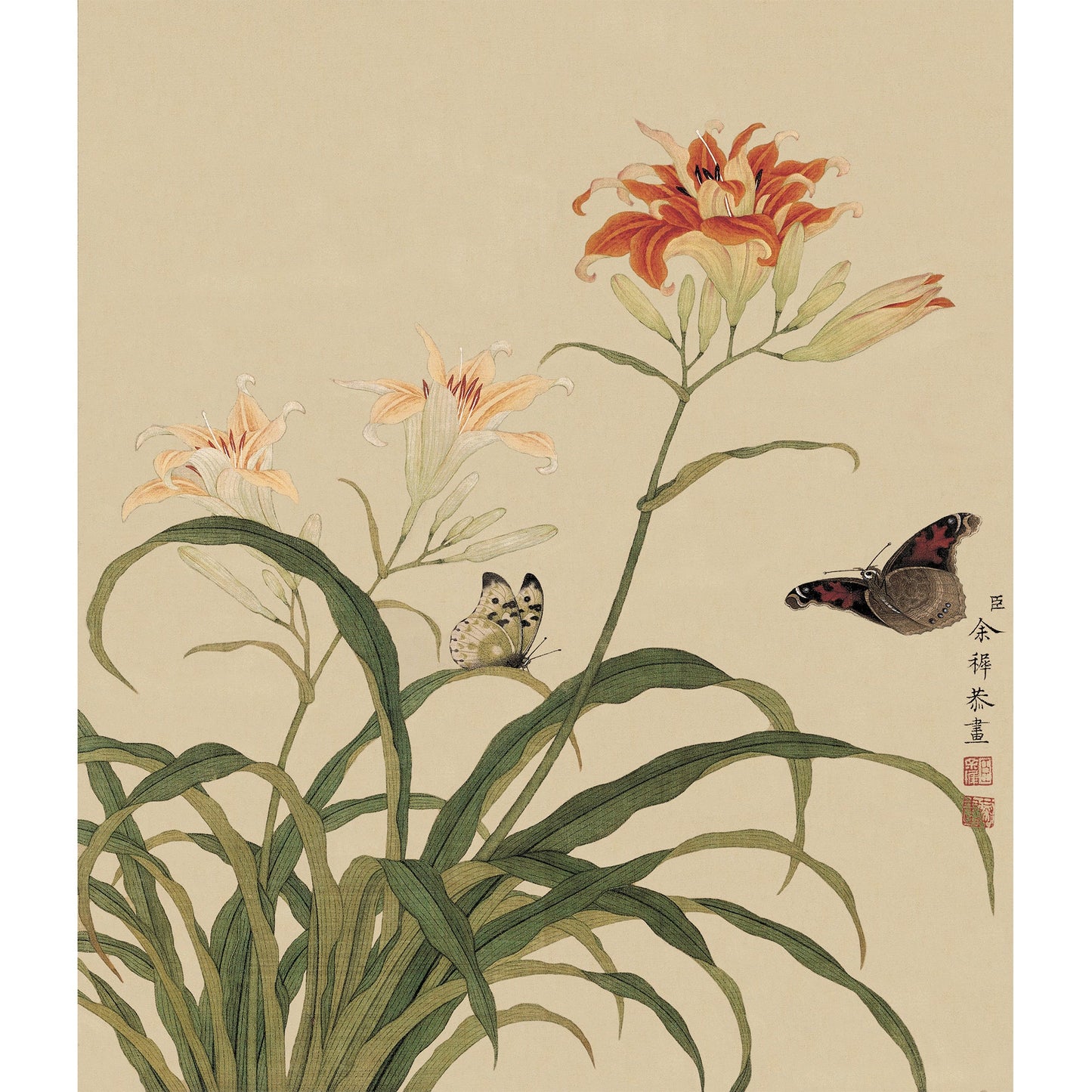 《萱草蝴蝶》 國畫 花鳥