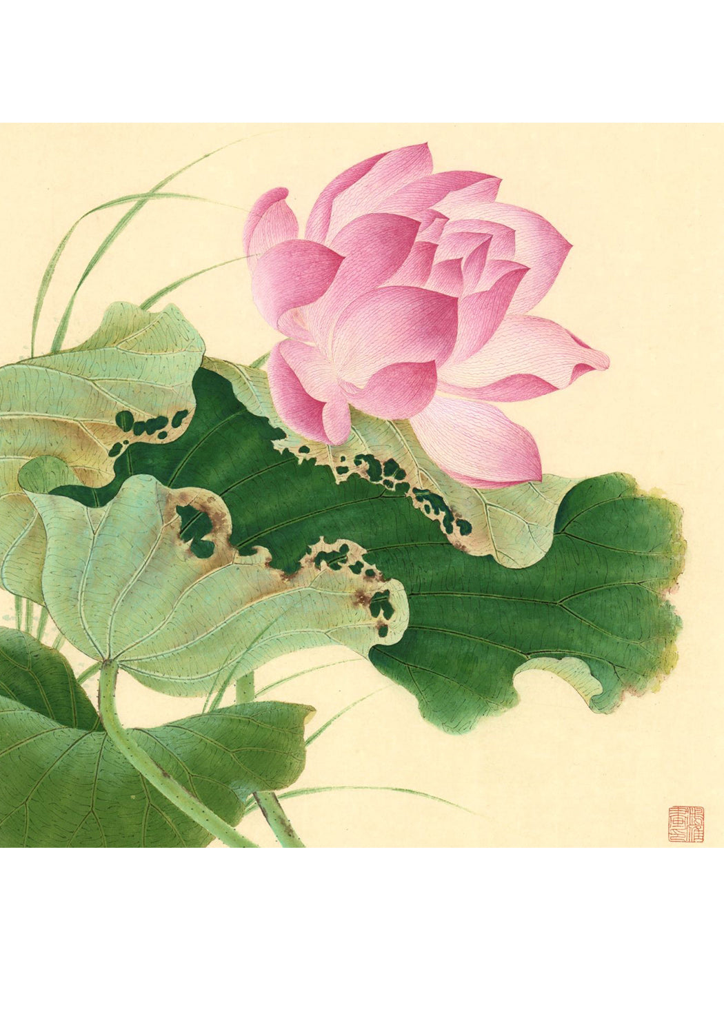 《荷風一》《荷風二》 畫心