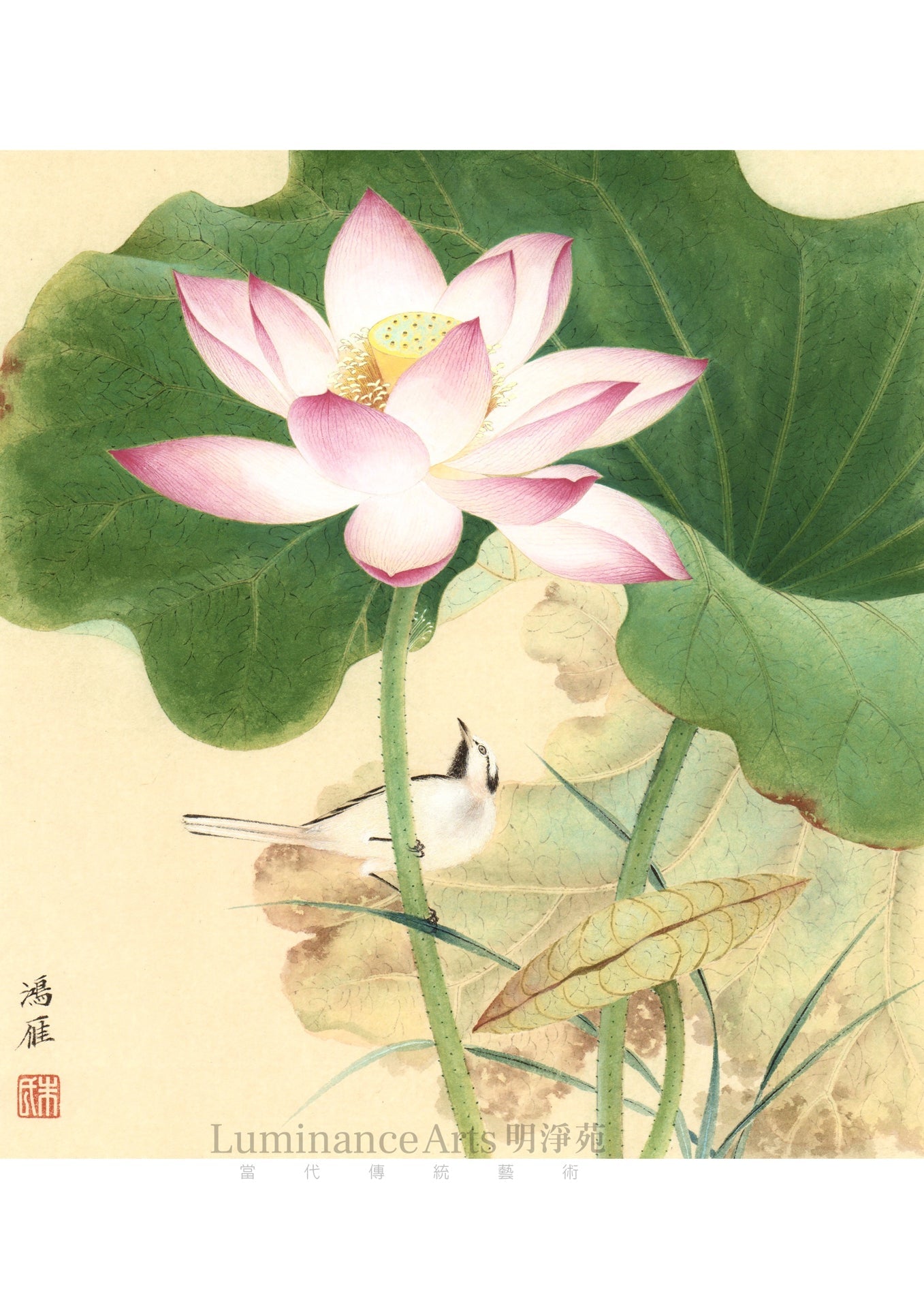 《荷風一》 國畫 花鳥