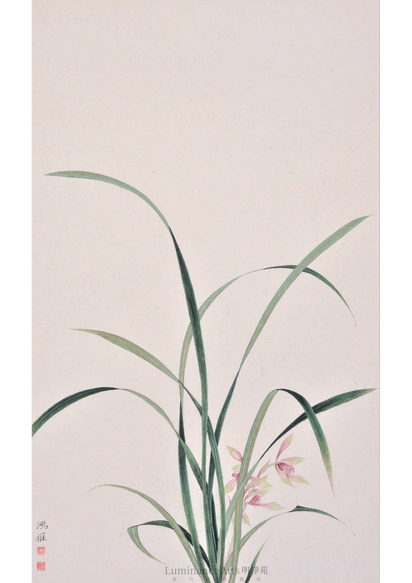 《蘭》國畫 花鳥