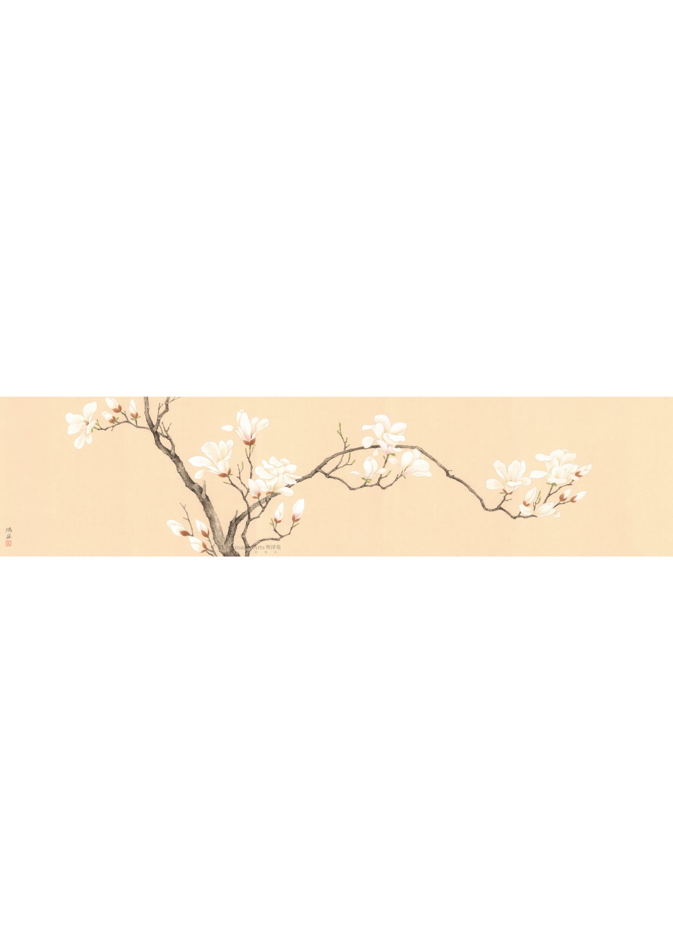 《玉蘭圖卷》 國畫 花鳥