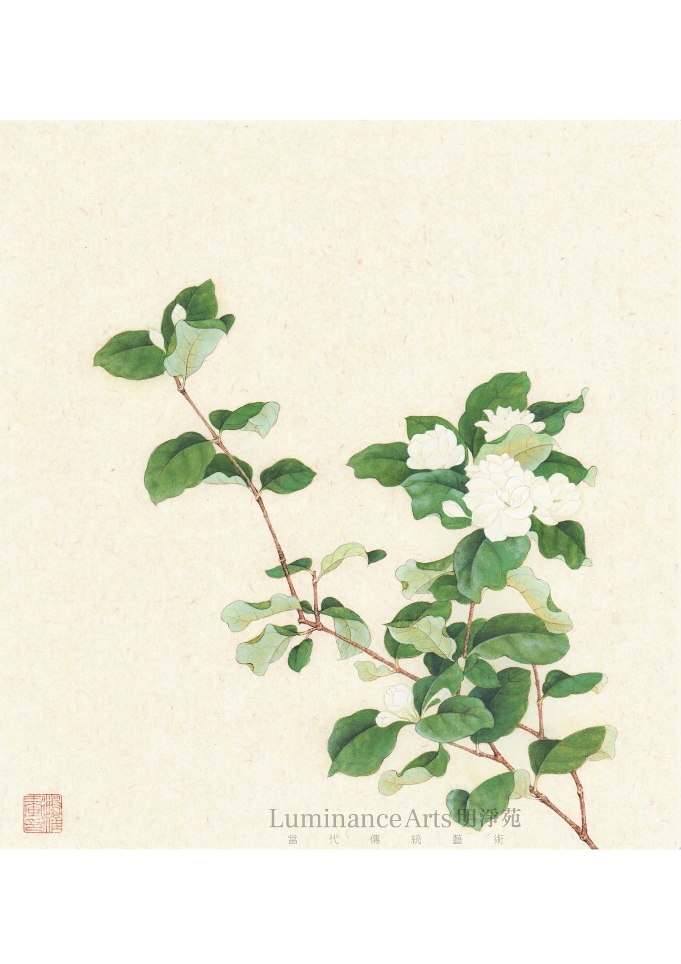 《仿宋人茉莉花小品》 國畫 花鳥