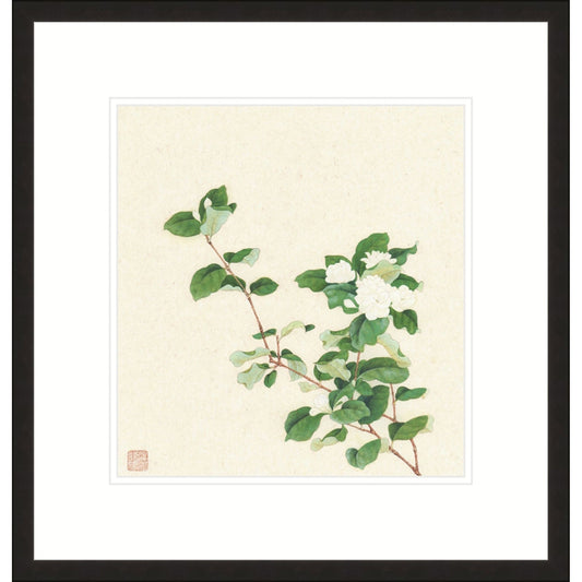 《仿宋人茉莉花小品》 國畫 花鳥