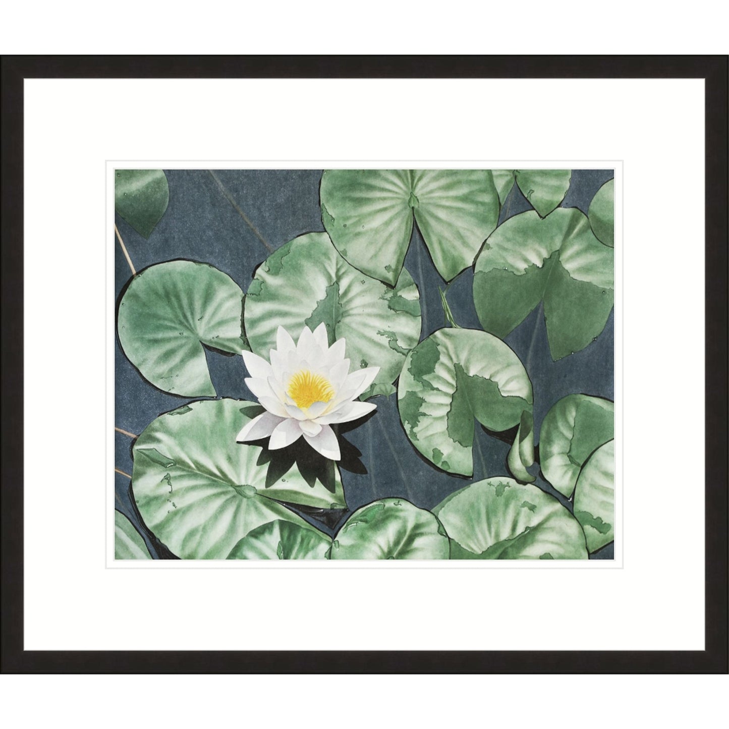 《清蓮》 國畫 花鳥