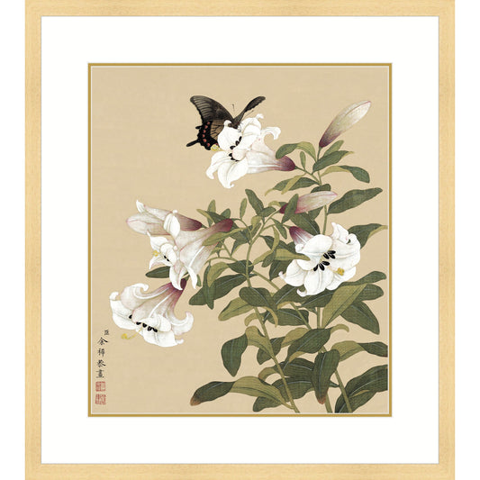 《蝶上百合》 國畫 花鳥