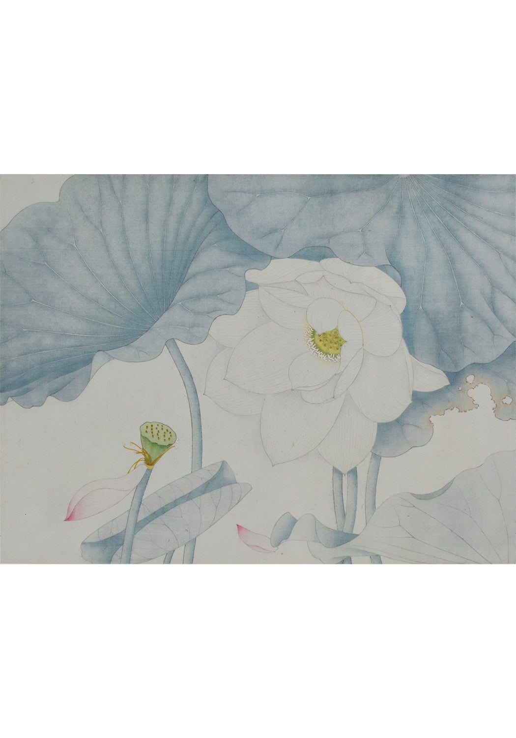 《霧》 國畫 花鳥
