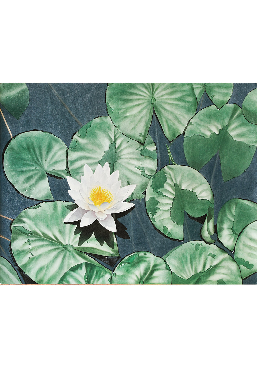 《清蓮》 國畫 花鳥
