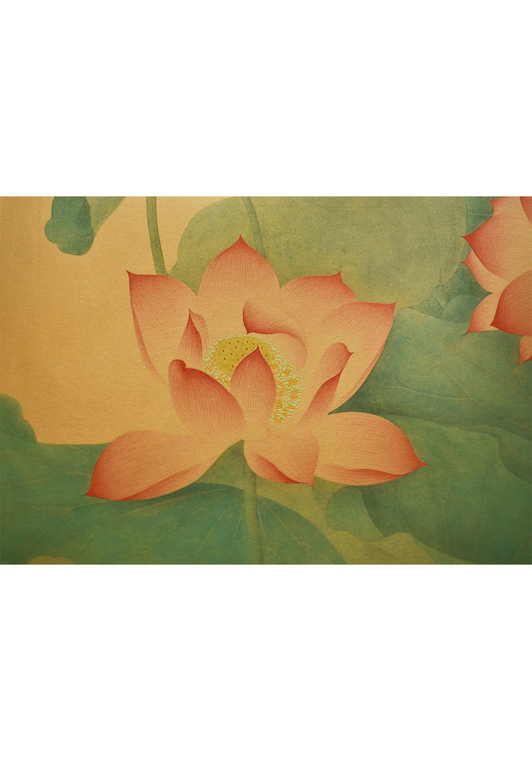 《金蓮》 國畫 花鳥