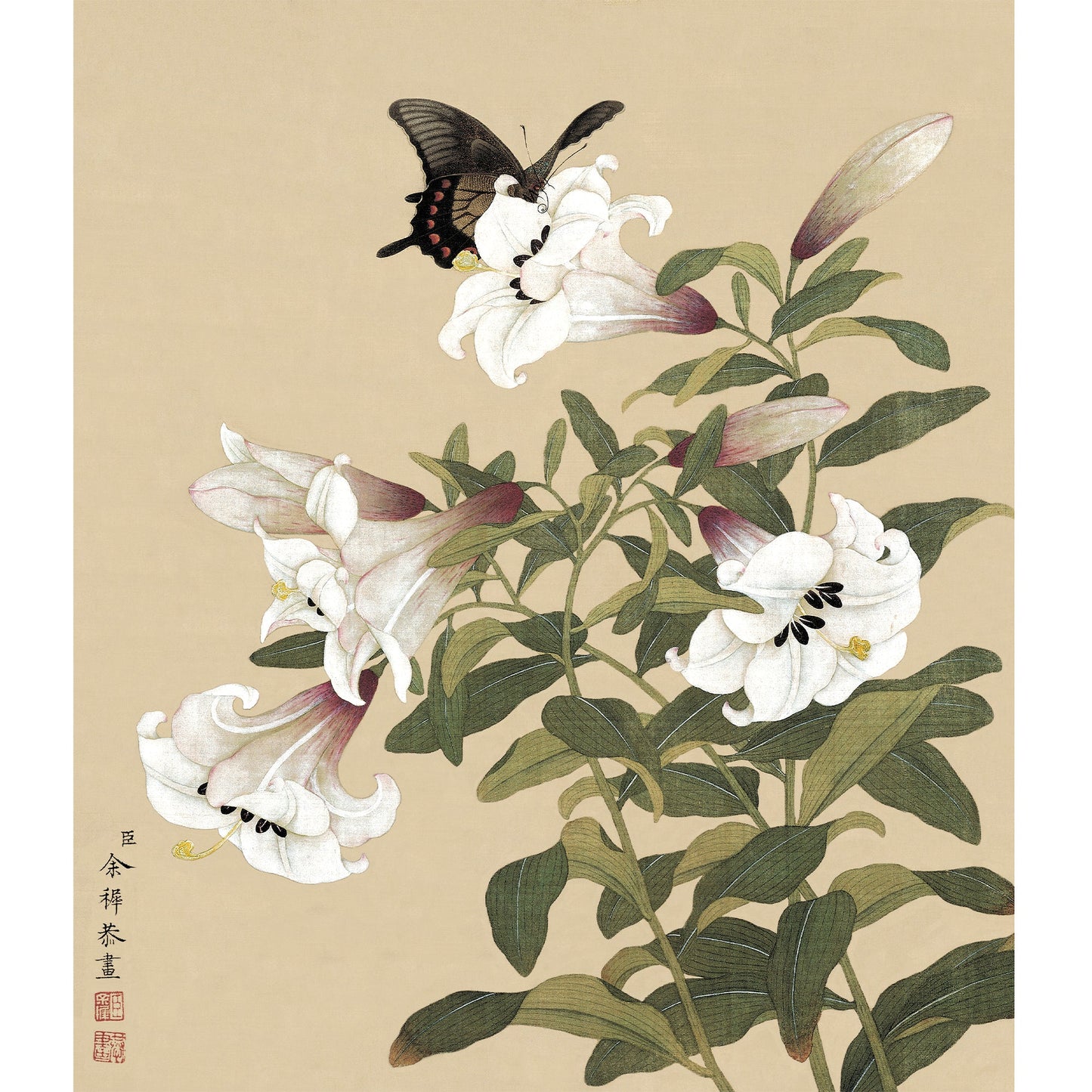 《蝶上百合》 國畫 花鳥