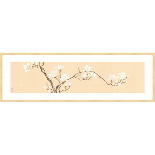《玉蘭圖卷》 國畫 花鳥